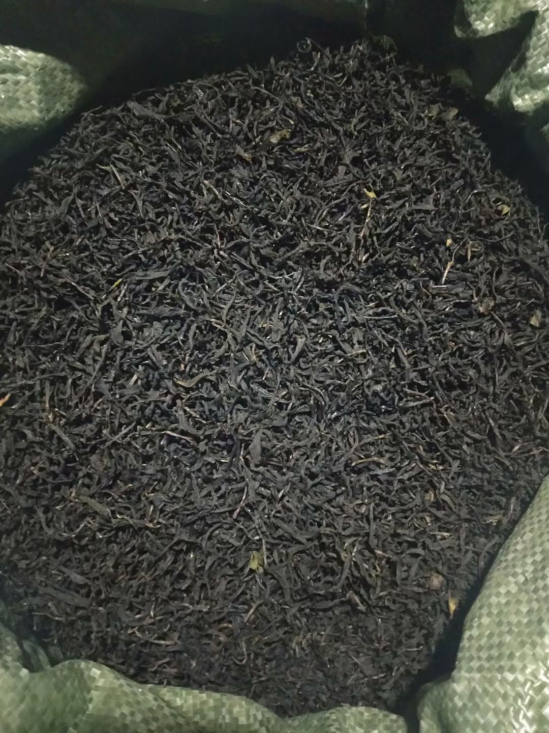经典罐装蒲坑茶